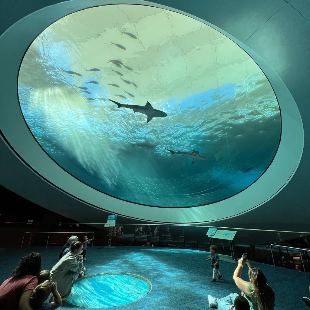 Apart-from-the-Fort-Lauderdale-Aquariums-you-can-also-check-out-the-Phillip-and-Patricia-Frost-Museum-of-Science