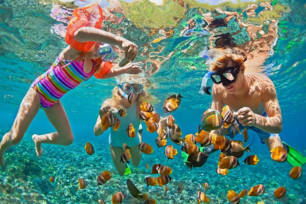 During-your-Pompano-Beach-snorkeling-explore-vibrant-reefs-marine-life-and-create-unforgettable-memories