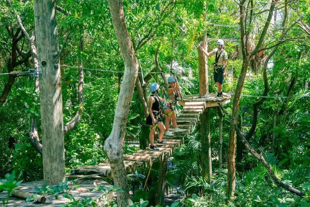 Get-up-close-and-personal-with-exotic-wildlife-at-Jungle-Island-Eco-Park