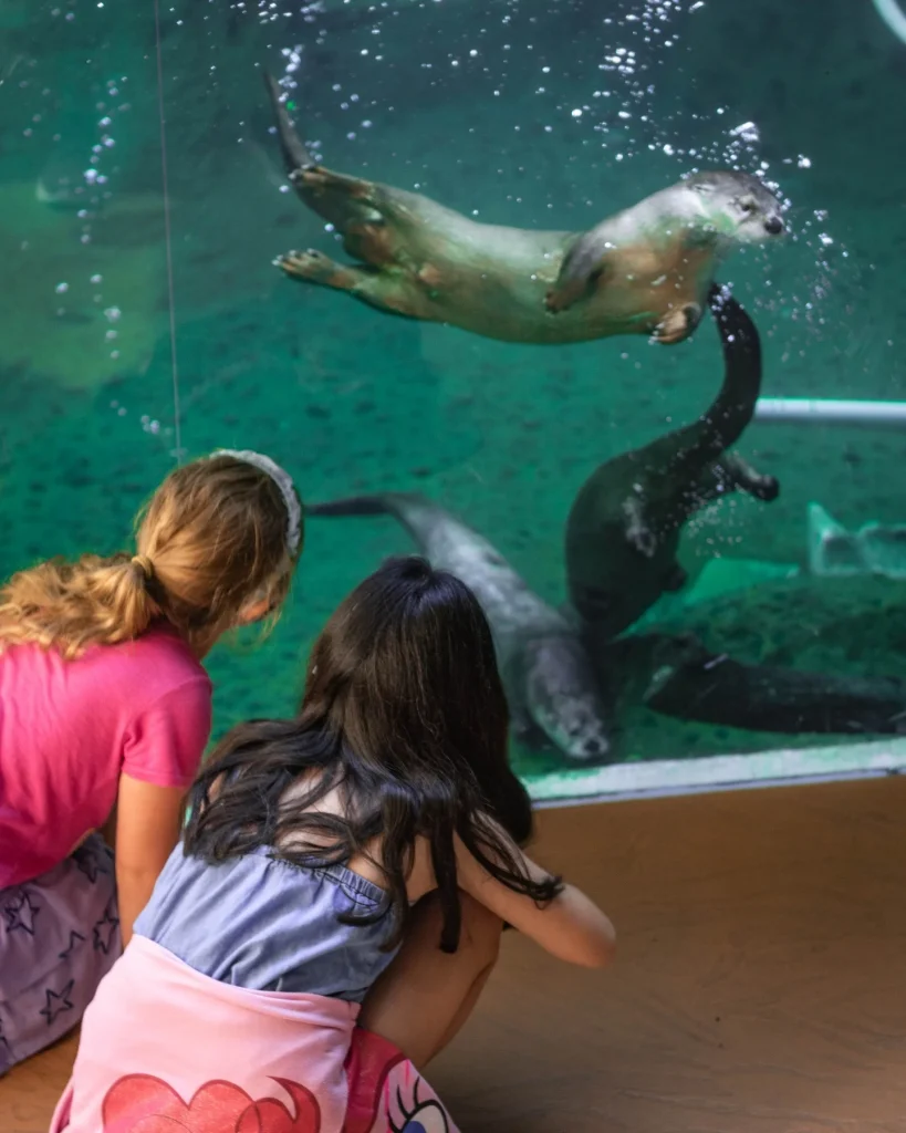 One-of-the-best-Fort-Lauderdale-Aquariums-to-visit-is-the-Museum-of-Discovery-and-Science