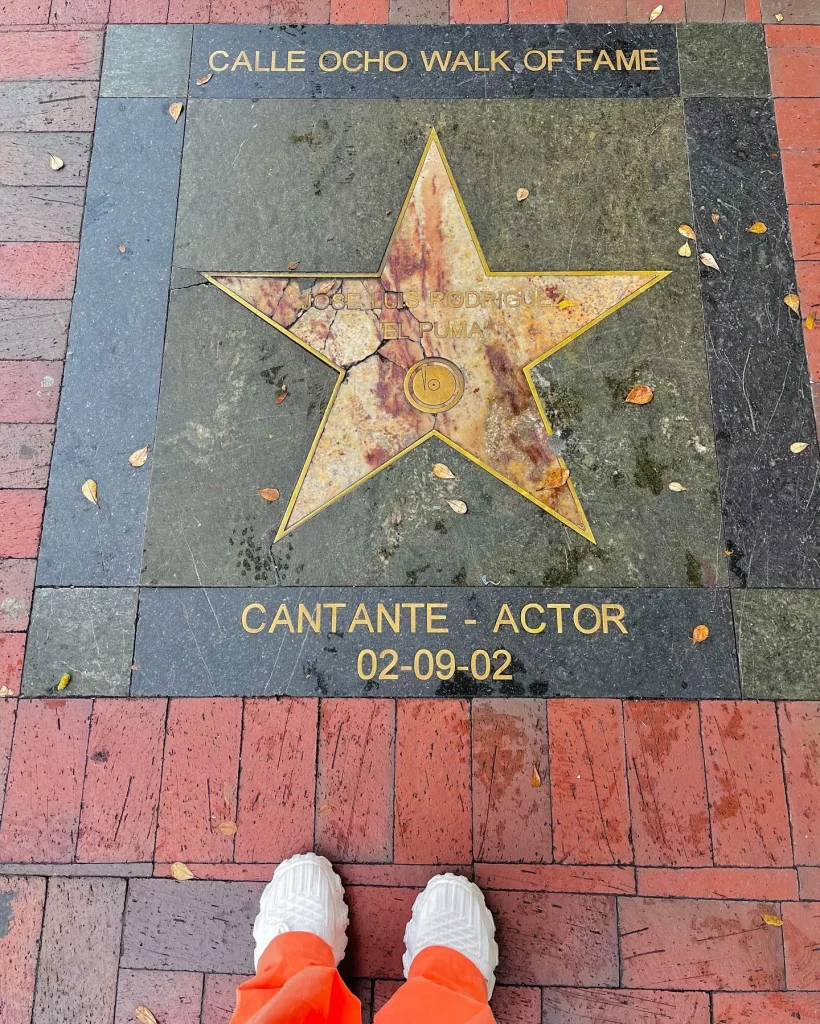 The-walkway-itself-is-adorned-with-stars-each-representing-a-luminary-who-has-made-significant-contributions-to-the-arts-music-entertainment-and-community