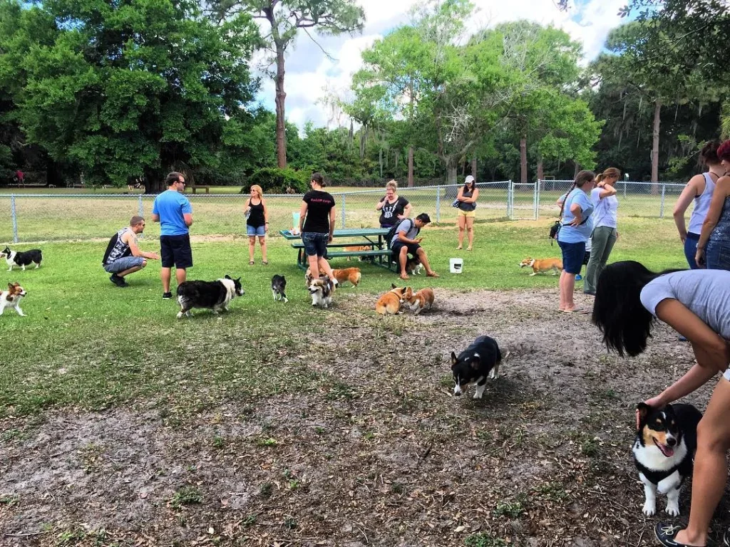 There-are-plenty-of-pet-friendly-parks-close-to-Wesley-Chapel-for-dog-lovers-who-want-to-have-fun-and-exciting-outings-with-their-furry-friends