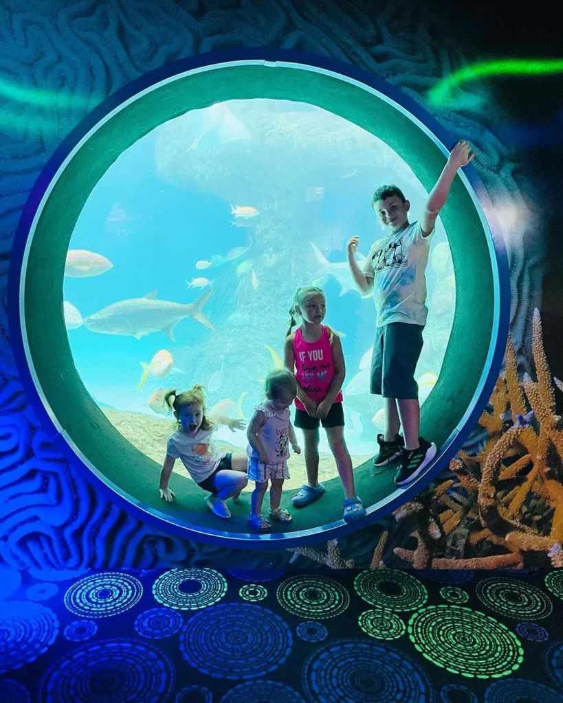 Tampa-Aquarium-vs-Clearwater-Aquarium