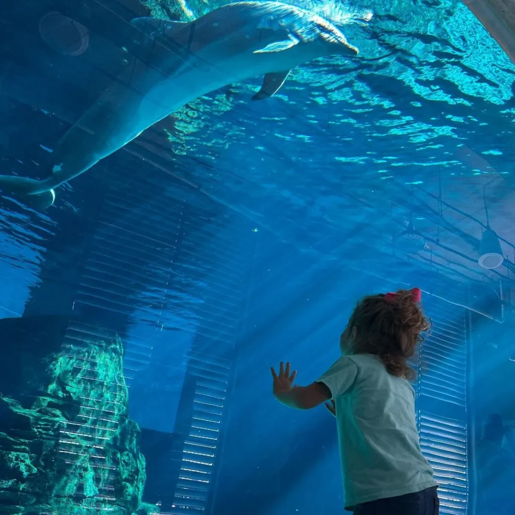 The-Tampa-aquarium-360-view