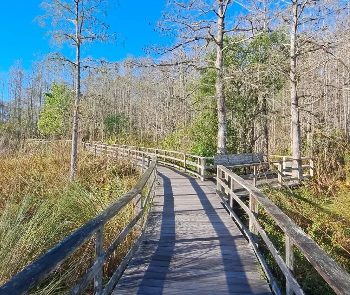 A snapshot of Audubon Corkscrew Swamp Sanctuary @mrdurnyeonajourney 22 Instagram 1